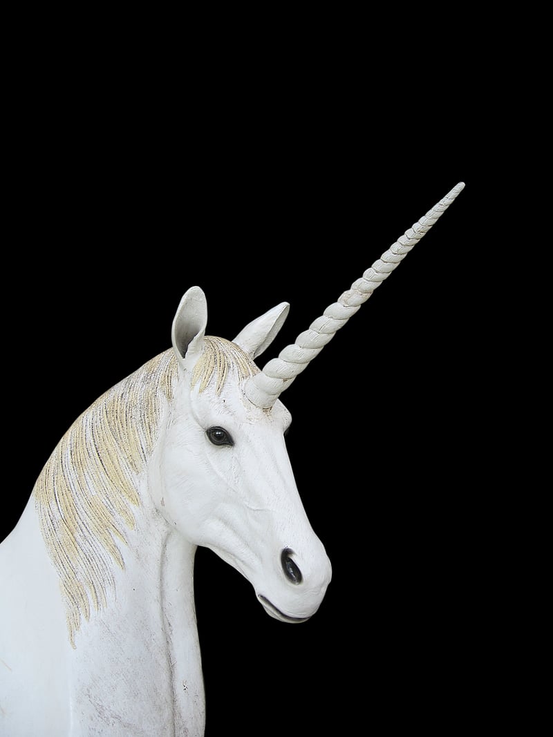 Unicorn Planting Day